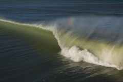 Juno Puer Surf